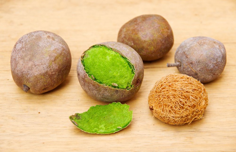 Les bienfaits du Ditakh Les bienfaits du Ditakh