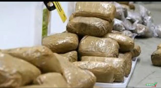 Arrêtés avec 300 Kg de chanvre indien : Un couple et leur chauffeur risquent 20 ans de travaux forcés Arrêtés avec 300 Kg de chanvre indien : Un couple et leur chauffeur risquent 20 ans de travaux forcés