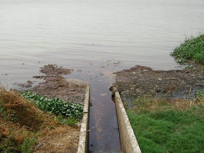 Saint-Louis-Lutte contre les plantes acquatiques envahissantes dans le delta:Une voie d'eau créée à Diawel pour la reprise des irrigations