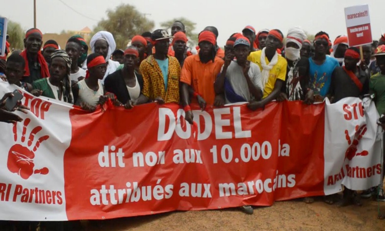 Dodele : La Cour Suprême annule l’affection d’un terrain de 10.000 hectares au groupe Afri Partners Dodele : La Cour Suprême annule l’affection d’un terrain de 10.000 hectares au groupe Afri Partners
