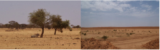 La savane à l’Est du Lac de Guiers, le même endroit aujourd’hui