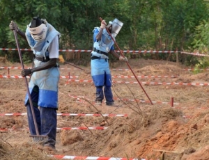 Casamance : 16 démineurs enlevés par des bandes armées Casamance : 16 démineurs enlevés par des bandes armées