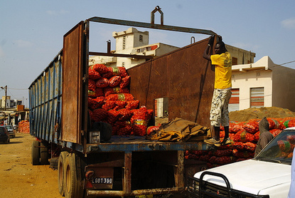 Filière tomate : Les industriels vont enlever 50 mille tonnes à la prochaine campagne