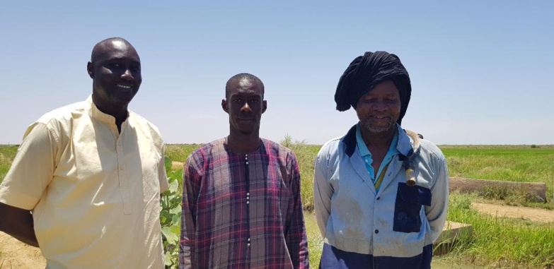 La fraternité est dans le pré ! La fraternité est dans le pré !