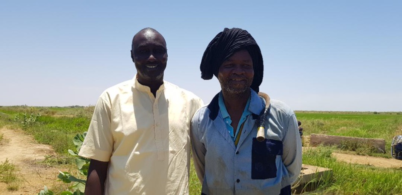 La fraternité est dans le pré ! La fraternité est dans le pré !