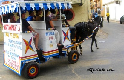 Saint-Louis : le tourisme génère 1200 emplois permanents. Saint-Louis : le tourisme génère 1200 emplois permanents.