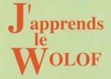 LE WOLOF TOUJOURS MASSACRÉ PAR LES RADIOS ET TÉLÉVISIONS: IGNORANCE OU COMPLAISANCE COUPABLE DES PATRONS DE PRESSE ?