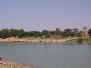 Fanaye n’en veut pas : L’Ile à Morphil convoite l’implantation de Senethanol Fanaye n’en veut pas : L’Ile à Morphil convoite l’implantation de Senethanol
