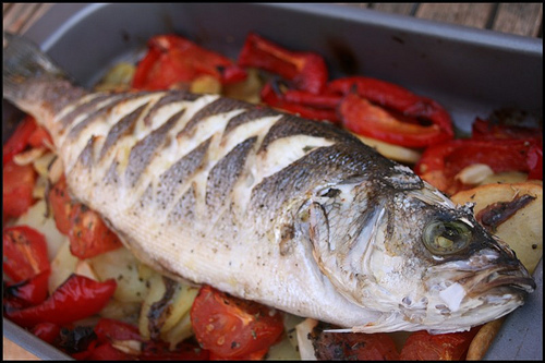 Le poisson bon pour les femmes