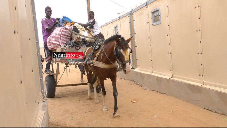 KHAR YALLA : le déménagement vers Djougob a démarré (photos) KHAR YALLA : le déménagement vers Djougob a démarré (photos)