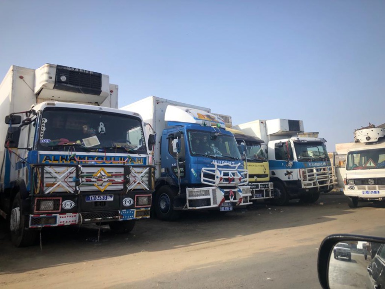 Saint-Louis : Ça pue gravement devant le foirail de Pikine Saint-Louis : Ça pue gravement devant le foirail de Pikine