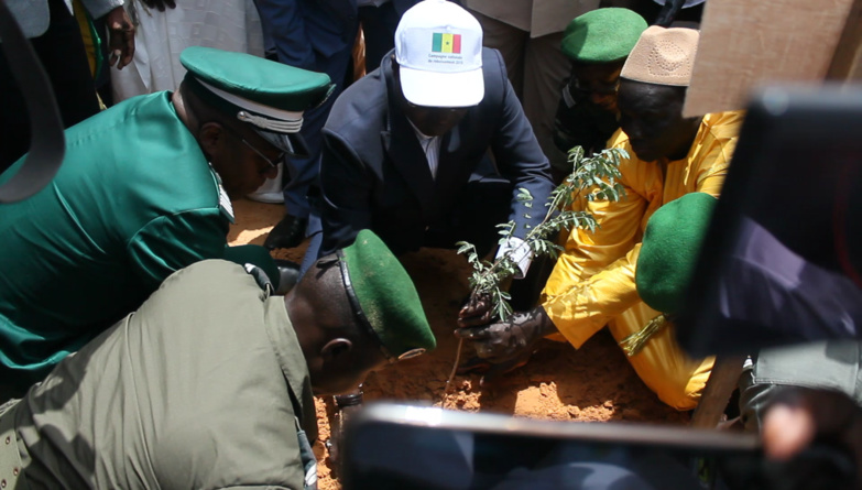 La journée de l’arbre célébrée dans des conditions difficiles à Lompoul La journée de l’arbre célébrée dans des conditions difficiles à Lompoul