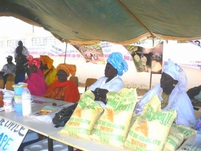 Les femmes productrices de  Saint-Louis plaident pour un accès équitable aux formules d’engrais et intrants