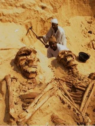 Découverte d'un cimetière du peuple des Titans "D'AAD" dans le désert Saoudien: la preuve d'une vérité coranique