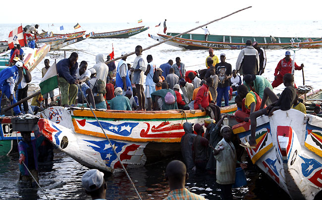 Débarquements de pêche : Faible baisse enregistrée à Saint-Louis