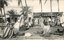 HISTOIRE DE SAINT-LOUIS: Des origines de l'Homme aux premiers Empires HISTOIRE DE SAINT-LOUIS: Des origines de l'Homme aux premiers Empires