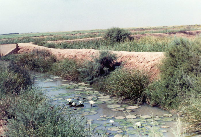 Richard-Toll: Un corps sans vie retrouvé au bord du fleuve Richard-Toll: Un corps sans vie retrouvé au bord du fleuve