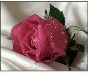 Saint-Valentin Saint-Valentin