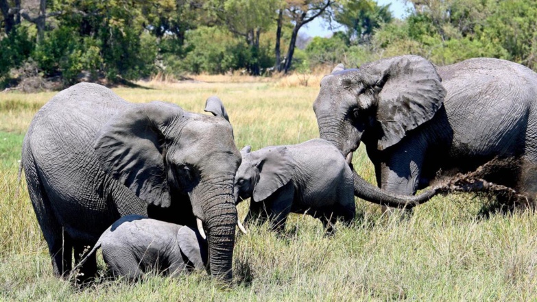 Source : EPA Source : EPA