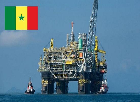 Exploitation de Pétrole et de gaz : un appel d'offres pour l'octroi de 12 blocs lancé par Petrosen