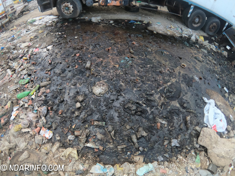 INDISCIPLINE : des milliers de poissons pourris déversés à l’entrée de Saint-Louis (photos) INDISCIPLINE : des milliers de poissons pourris déversés à l’entrée de Saint-Louis (photos)