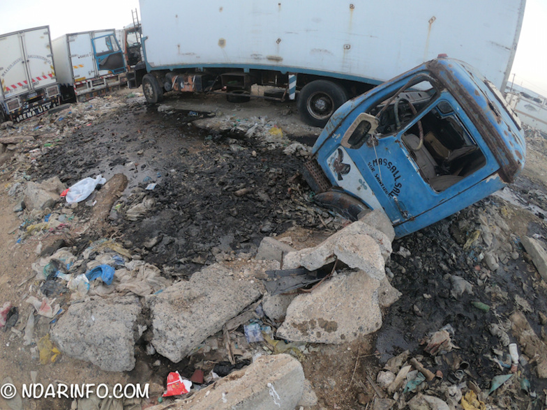 INDISCIPLINE : des milliers de poissons pourris déversés à l’entrée de Saint-Louis (photos) INDISCIPLINE : des milliers de poissons pourris déversés à l’entrée de Saint-Louis (photos)