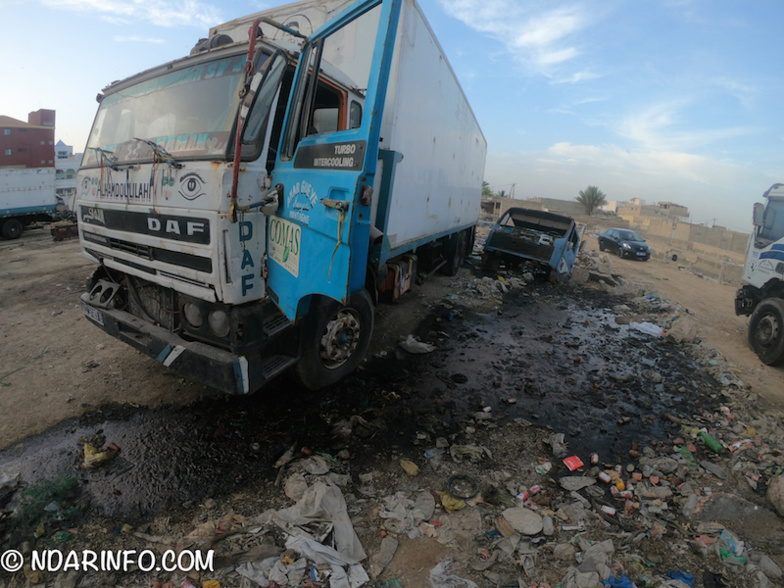 INDISCIPLINE : des milliers de poissons pourris déversés à l’entrée de Saint-Louis (photos) INDISCIPLINE : des milliers de poissons pourris déversés à l’entrée de Saint-Louis (photos)