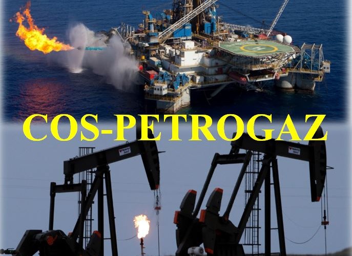 Ressources naturelles : la Gouvernance démocratique du Sénégal enterrée au Cos Petrogaz Ressources naturelles : la Gouvernance démocratique du Sénégal enterrée au Cos Petrogaz