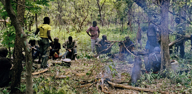 Casamance : Attaque inopinée de 4 individus armés à Saliotte Casamance : Attaque inopinée de 4 individus armés à Saliotte