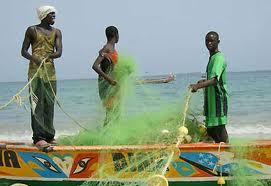 Accords de pêche non autorisés : Le Sénégal jette 08 milliards en mer par an Accords de pêche non autorisés : Le Sénégal jette 08 milliards en mer par an