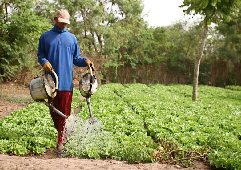 Saint-Louis : Un lot de matériéls agricoles remis aux producteurs de Rao Saint-Louis : Un lot de matériéls agricoles remis aux producteurs de Rao