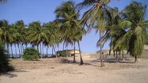 A la découverte de Gouyrène (dans le Gandiol) A la découverte de Gouyrène (dans le Gandiol)