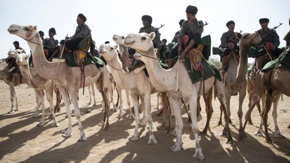 250 chameaux de l’UE pour l’unité méhariste en Mauritanie