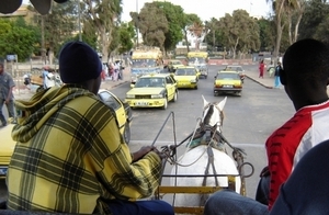 Saint-Louis : La nomination de Youssou Ndour appréciée positivement par certains acteurs du tourisme 