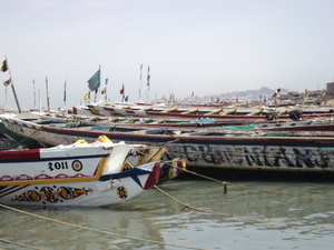 FIARA : Pape Diouf annonce des mesures sur les licences de pêche FIARA : Pape Diouf annonce des mesures sur les licences de pêche