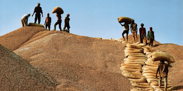 Rien ne va plus à la Sonacos !