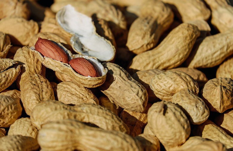 Commercialisation de l’arachide : La Sonacos octroie une prime au tonnage pour contrer la concurrence