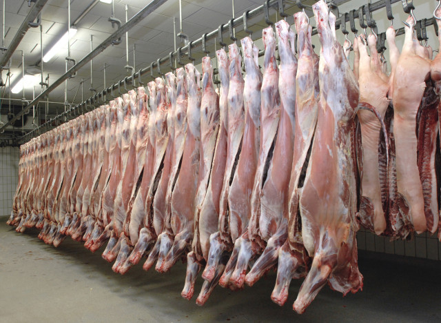 Don de 10.000 carcasses de mouton : les sinistrés de DIOUGOP reçoivent leur lot, samedi (communiqué)
