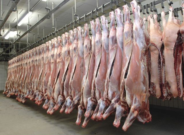 Don de 10.000 carcasses de mouton : les sinistrés de DIOUGOP reçoivent leur lot, samedi (communiqué) Don de 10.000 carcasses de mouton : les sinistrés de DIOUGOP reçoivent leur lot, samedi (communiqué)