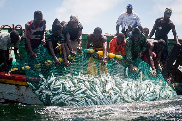 Saint-Louis : les pêcheurs vont recevoir leurs licences cette semaine