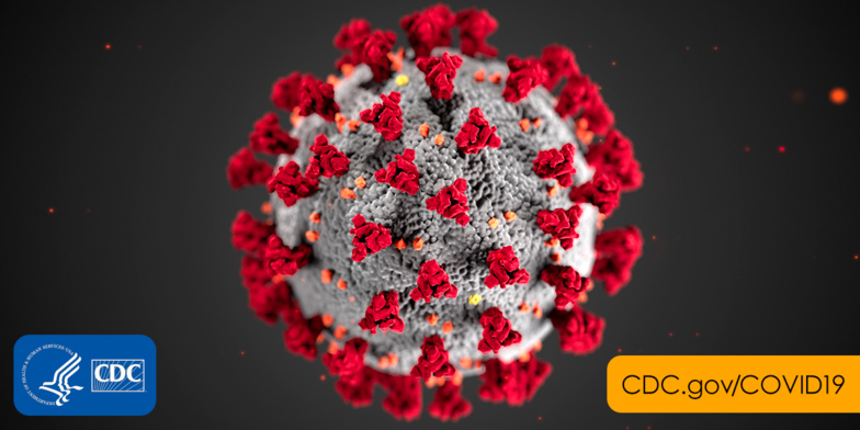 Enfin une réponse sur la durée de vie du coronavirus ...