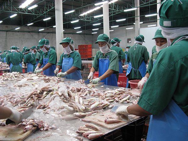 Covid-19 : La Mauritanie va réserver 10 mille tonnes de poissons pour éviter une crise alimentaire
