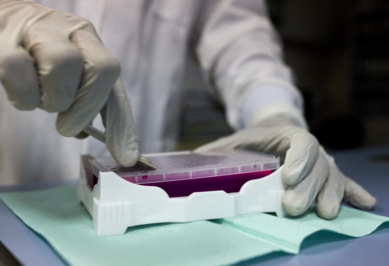 COVID-19 : 13 nouveaux cas et 12 guérisons COVID-19 : 13 nouveaux cas et 12 guérisons