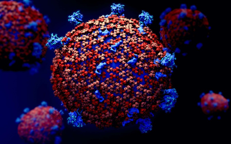 Inconnu du grand public il y a seulement trois mois, le coronavirus fait aujourd'hui partie du quotidien de milliards d'humains, qui en apprennent chaque jour un peu plus sur cette maladie combattue par les médecins du monde entier Handout Centers for Disease Control and Prevention/AFP/Archives