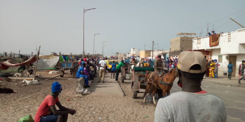 Saint-Louis : Un cas positif au Covid-19 enregistré à l’hydrobase. Le quai de pêche de Guet-Ndar fermé Saint-Louis : Un cas positif au Covid-19 enregistré à l’hydrobase. Le quai de pêche de Guet-Ndar fermé