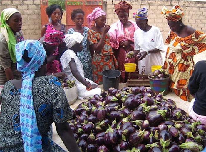 Sénégal : Diender placé en quarantaine Sénégal : Diender placé en quarantaine