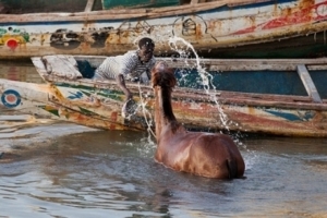 Guet Ndar, la vie aquatique sénégalaise