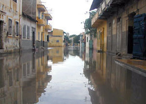 Dernieres minutes : Une forte pluie s'abbat sur Saint-Louis Dernieres minutes : Une forte pluie s'abbat sur Saint-Louis