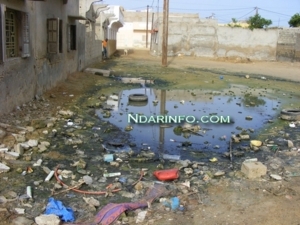 Seulement 25% des Saint-Louisiens sont branchés sur un réseau classique d’égouts(étude) Seulement 25% des Saint-Louisiens sont branchés sur un réseau classique d’égouts(étude)