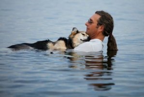 Culture- "Vies de chien": un an déjà!